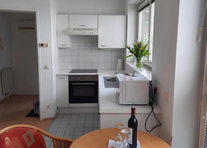 Apartment Terrassentraum Vienna
